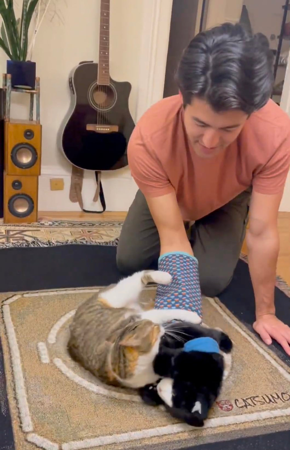CATSUMO Cat Wrestling Glove Puppet four legs add motion for engaging action