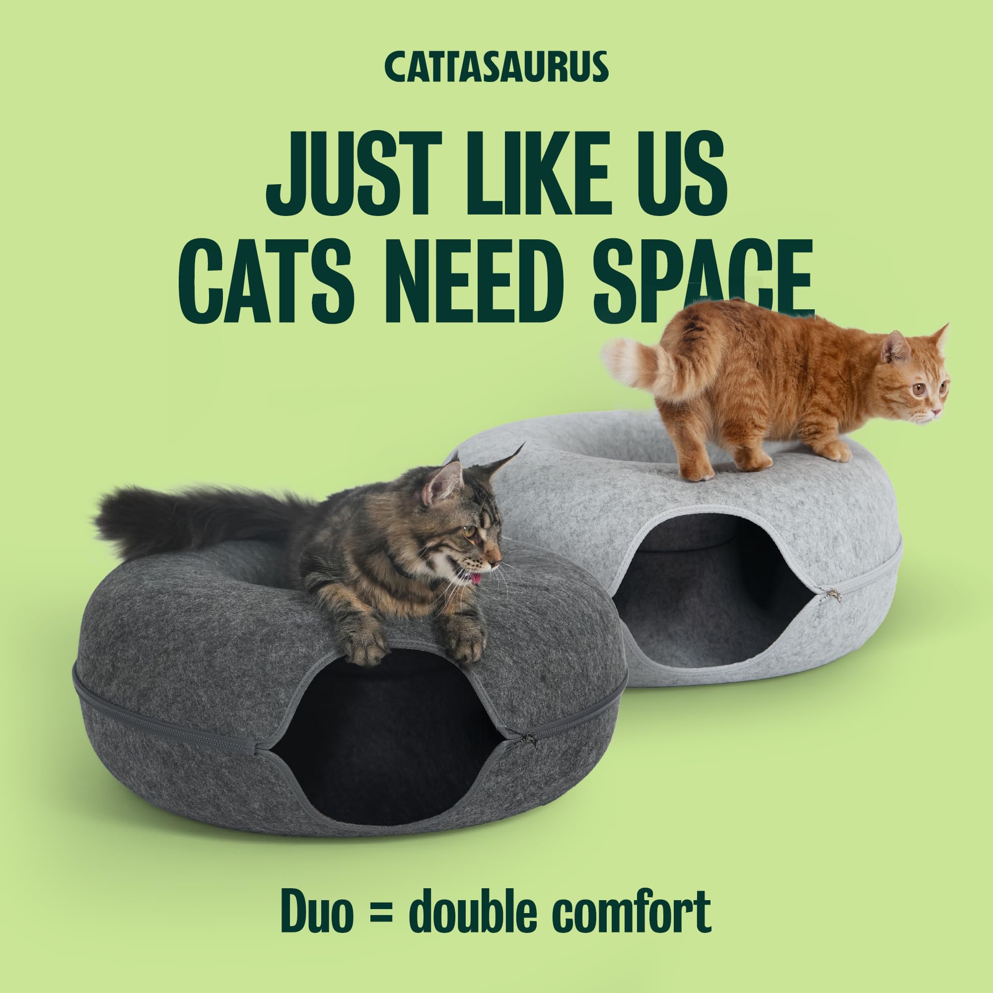 Cattasaurus Built in Peekaboo Windows enable interactive play and curiosity.