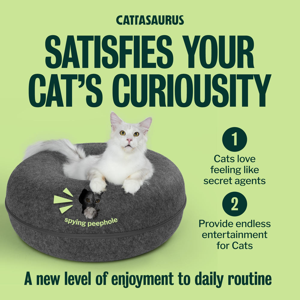 Cattasaurus Peekaboo Donut bed fabric delivers soft, washable comfort.