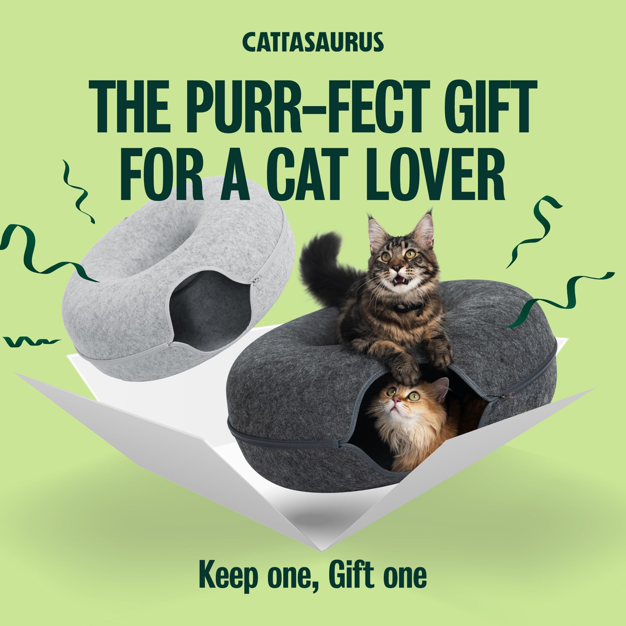 Cattasaurus Cat Tunnel Bed inside view showcases a built in play tunnel and retreat.