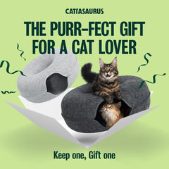 Cattasaurus Cat Tunnel Bed inside view showcases a built in play tunnel and retreat.