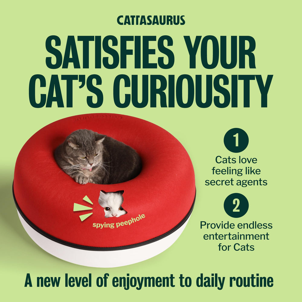 Cattasaurus Peekaboo Cat Cave all-season design delivers year-round comfort.