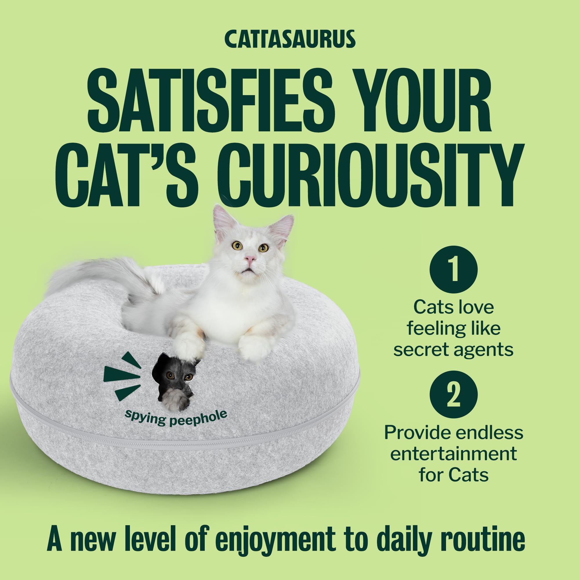 Cattasaurus Peekaboo assembly parts shown for quick setup