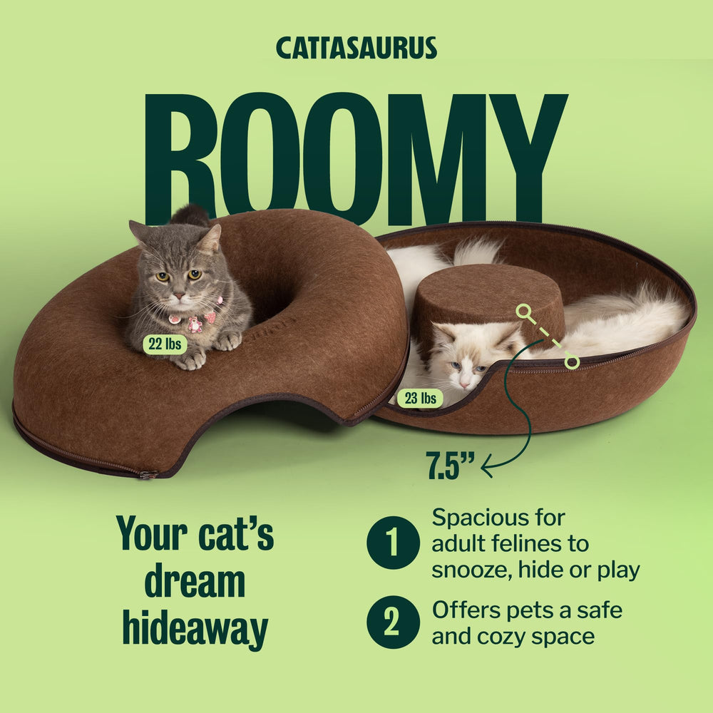 Cattasaurus Peekaboo blue option blends with home decor.