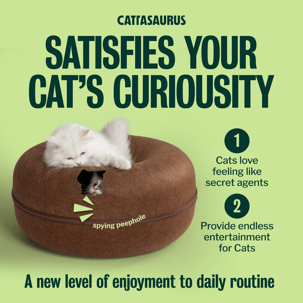 Cattasaurus Peekaboo gray variant complements modern interiors.