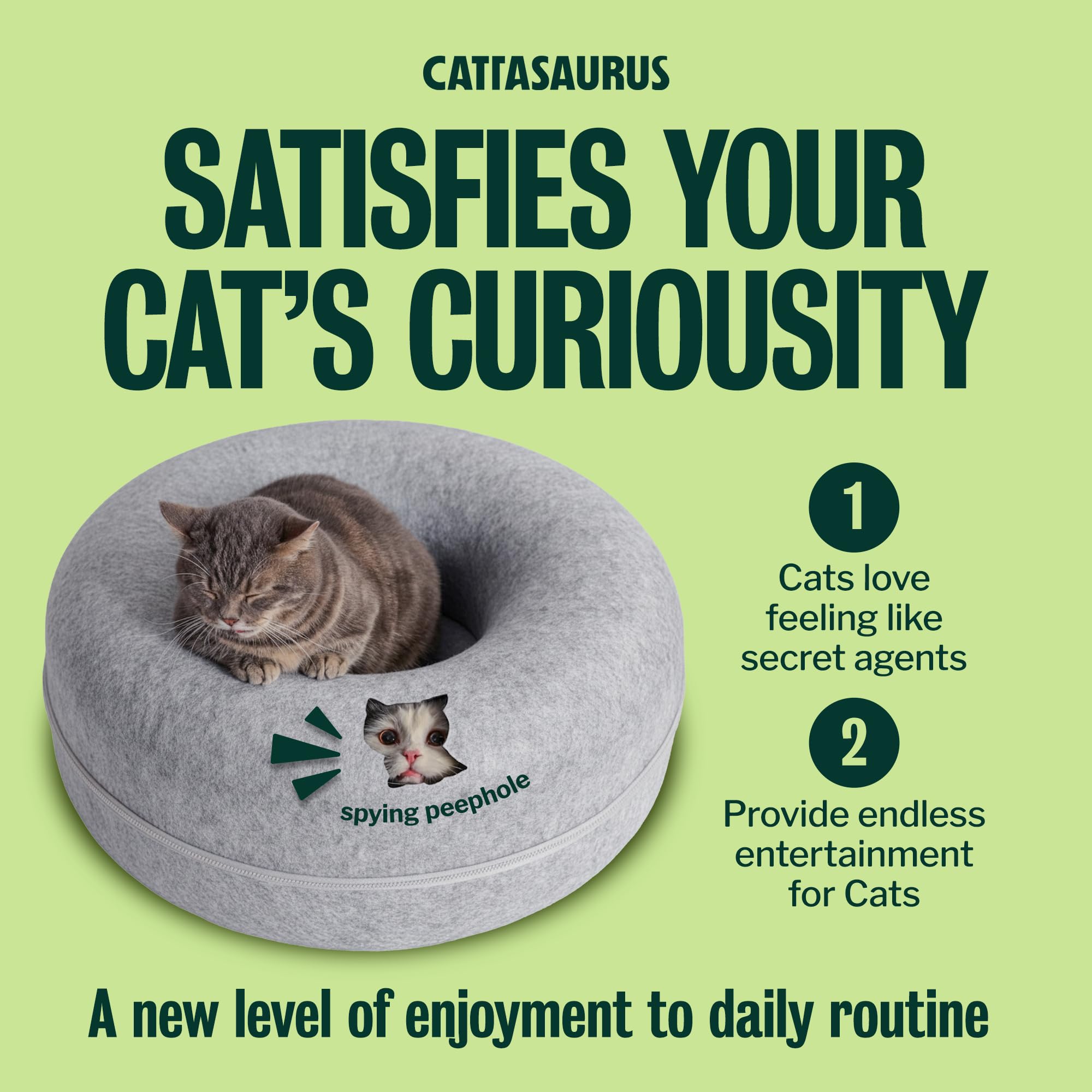 Cattasaurus Peekaboo Cat Cave light gray option blends with modern interiors