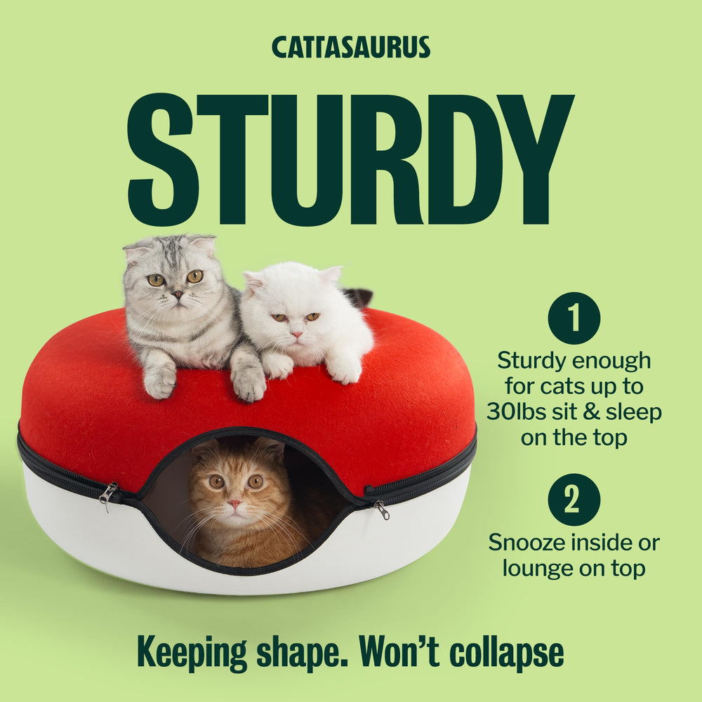 Cattasaurus Peekaboo Cat Cave detachable tunnel bed eases cleaning.