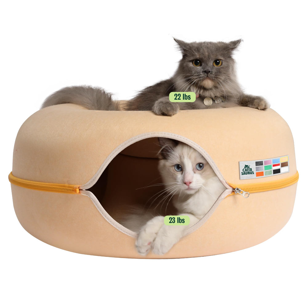 Cattasaurus Peekaboo Donut Bed Top offers cozy, elevated resting for large cats.