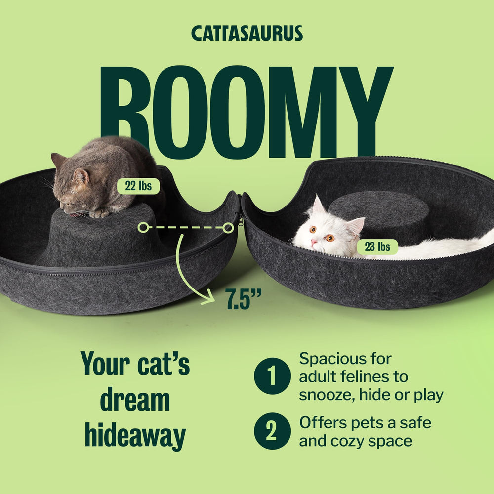 Cattasaurus Peekaboo cat cave donut tunnel combo for play and rest