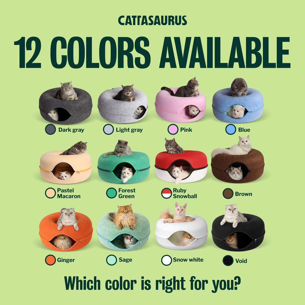 Cattasaurus Peekaboo cat cave durable eco friendly build