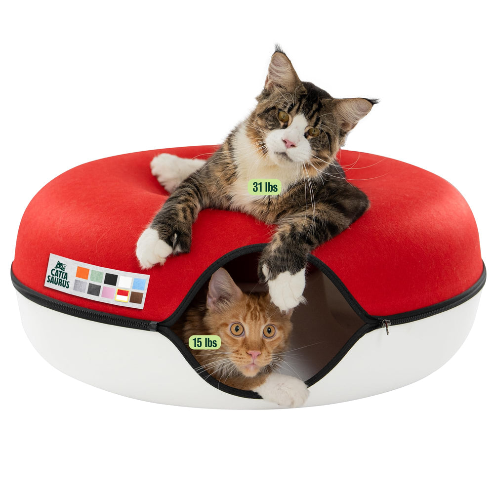 Cattasaurus Peekaboo exterior view highlights a spacious cat cave for multiple pets