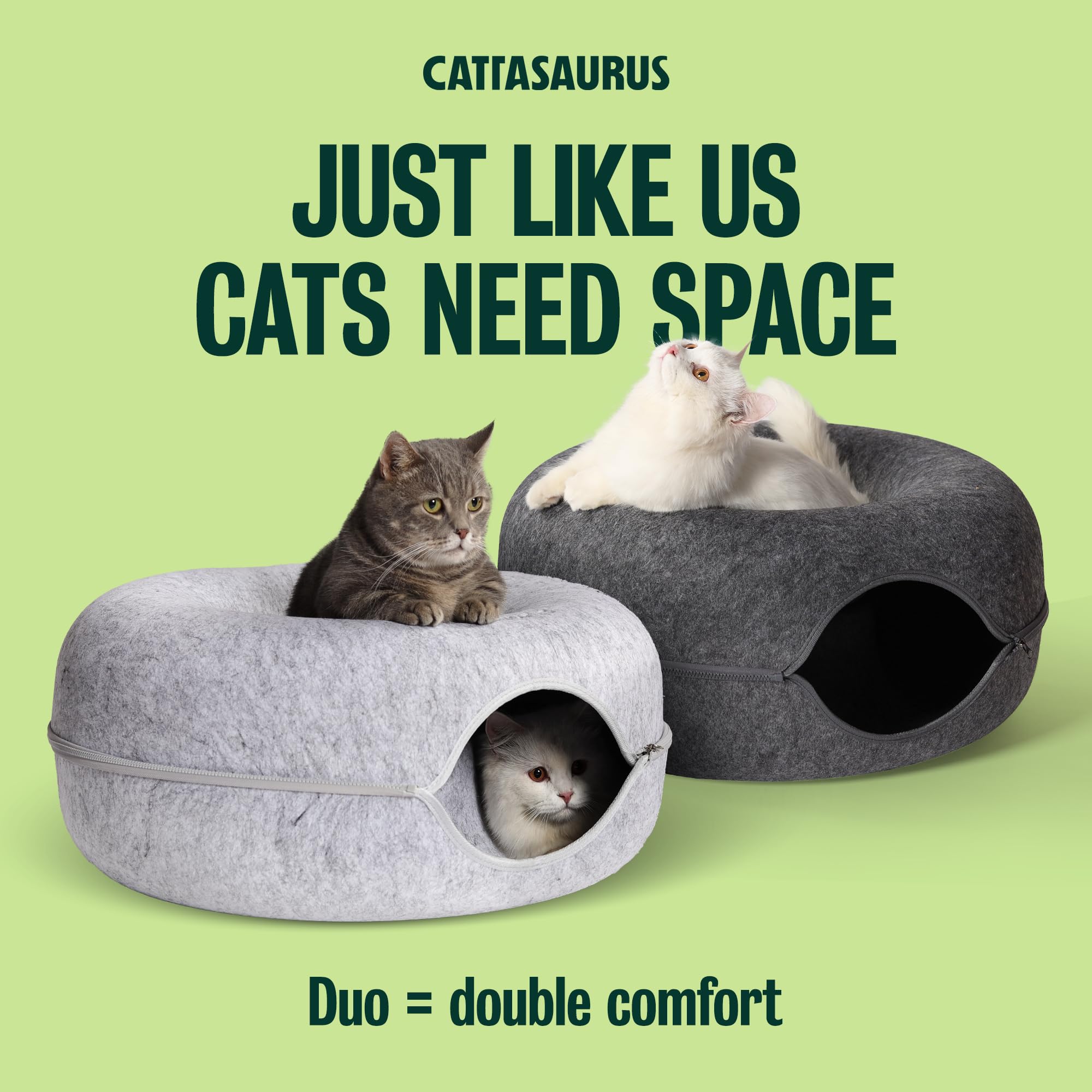 Cattasaurus Peekaboo Cat Cave inside view reveals roomy retreat.