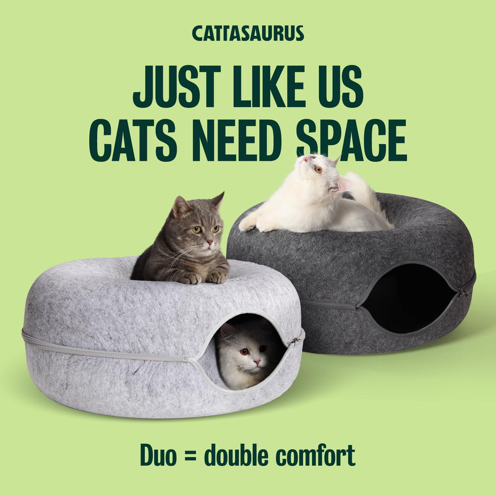 Cattasaurus Peekaboo Cat Cave inside view reveals roomy retreat.