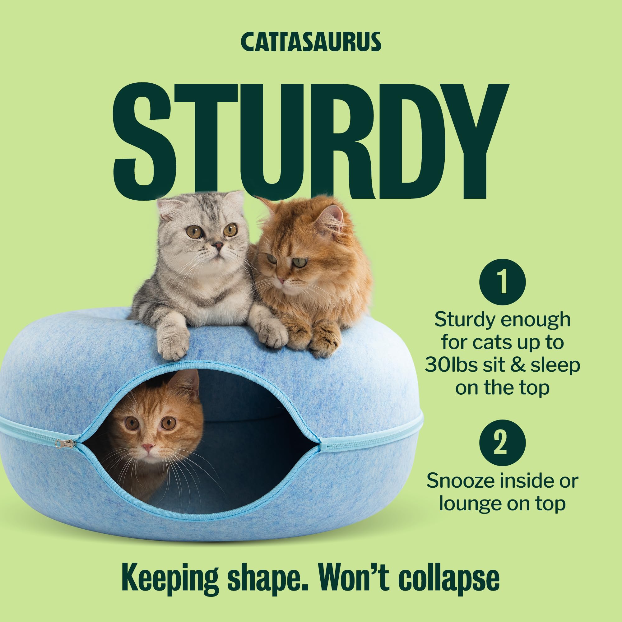 Cattasaurus Peekaboo large-cat friendly design fits big cats comfortably.