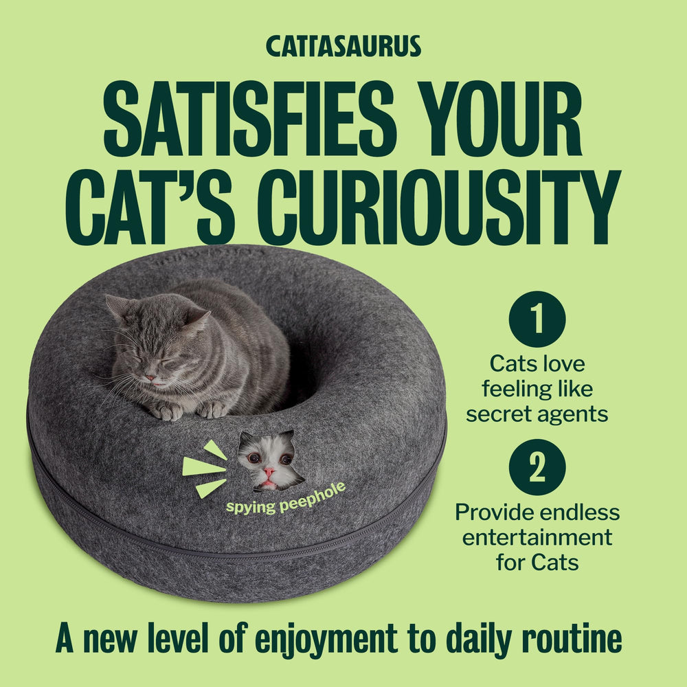 Cattasaurus Peekaboo cat cave large size design for multi pet homes