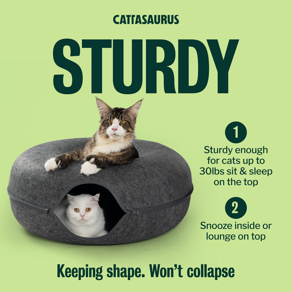 Cattasaurus Peekaboo Cat Cave Peephole view invites interaction and curiosity.