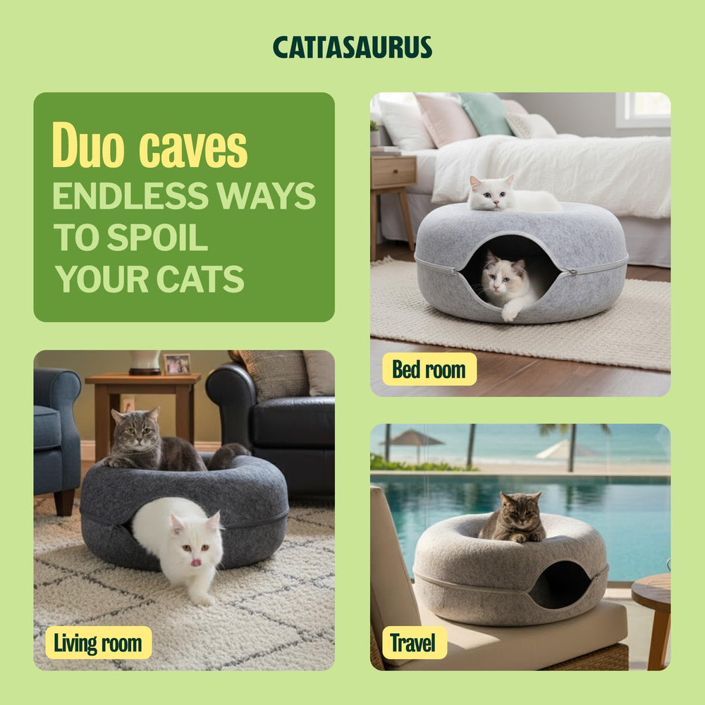 Cattasaurus Peekaboo Cat Cave peephole window invites bonding moments.