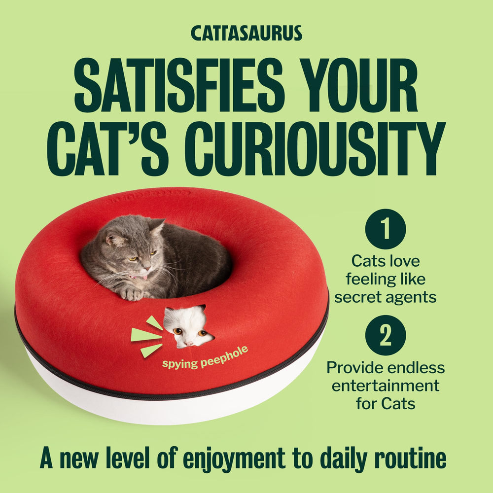 Spacious layout supports comfortable sharing among several cats