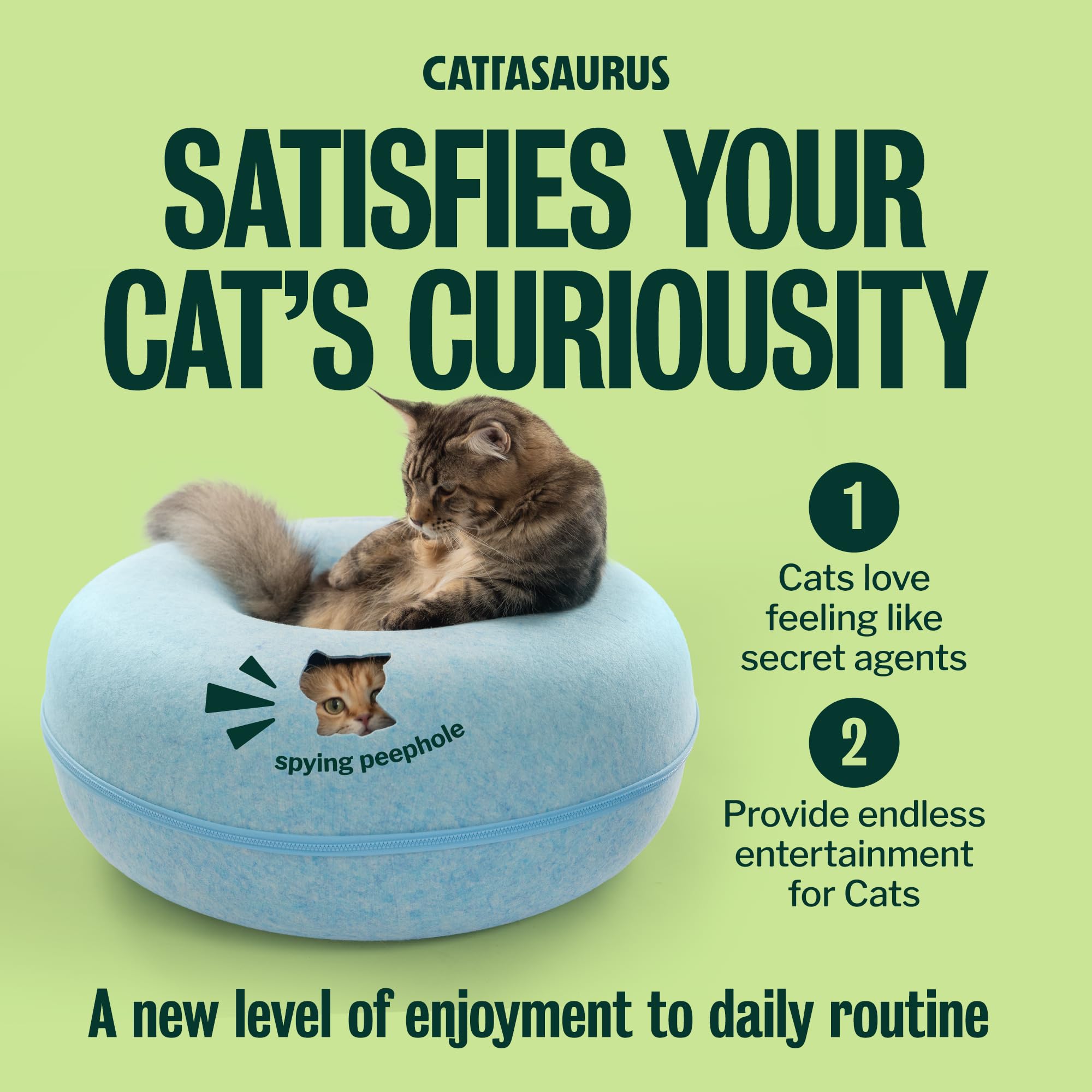 Cattasaurus Peekaboo Cat Cave storage recess adds tidy interior space