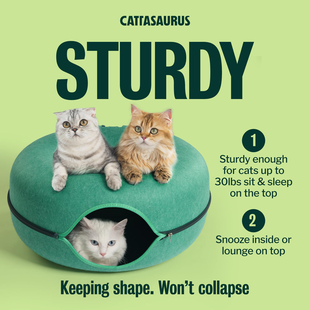 Cattasaurus Peekaboo detachable tunnel bed simplifies cleaning and maintenance.