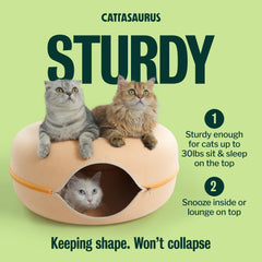 Cattasaurus Peekaboo Detachable Tunnel makes cleaning fast and easy.