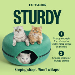 Cattasaurus Peekaboo detachable tunnel bed simplifies cleaning and maintenance.