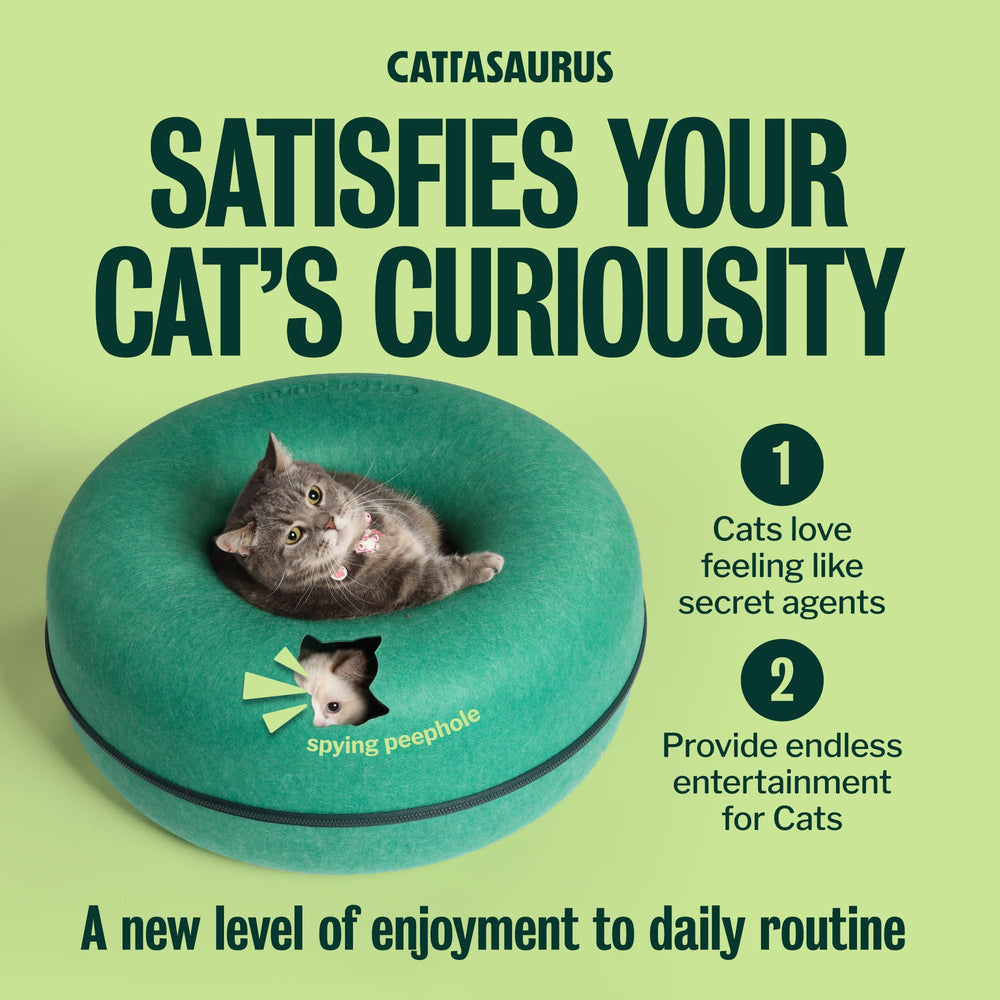 Cattasaurus Peekaboo spacious design fits large cats and small dogs alike.