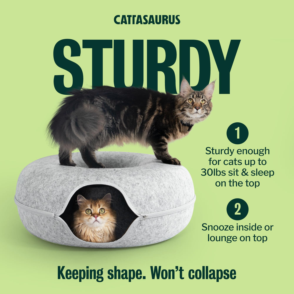 Cattasaurus Resists Pilling and Shedding for simple, everyday care.