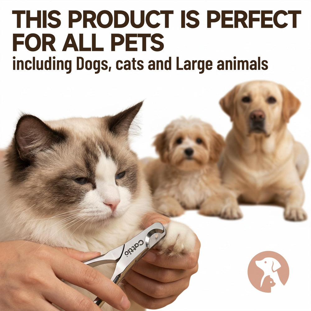 Cattio dog nail clipper trusted by clinics and grooming pros.