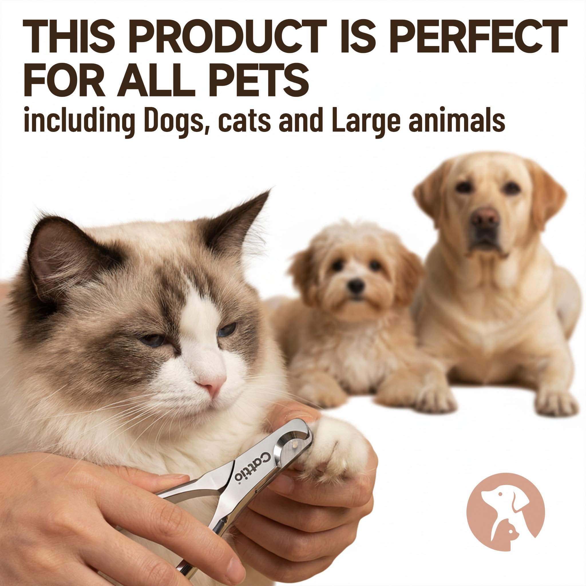 Cattio gift box packaging keeps the set ready to gift
