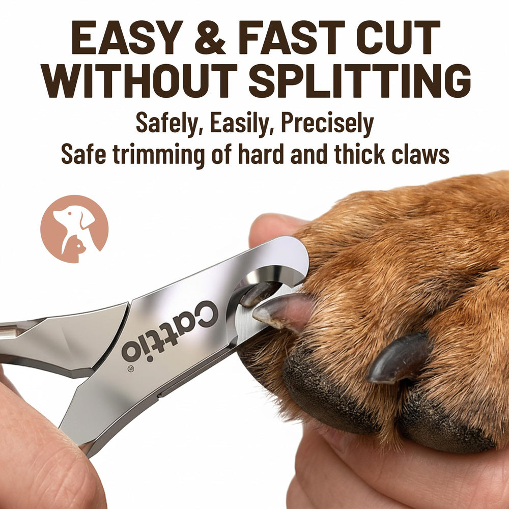 Cattio professional-use clippers in a pet hospital setting.