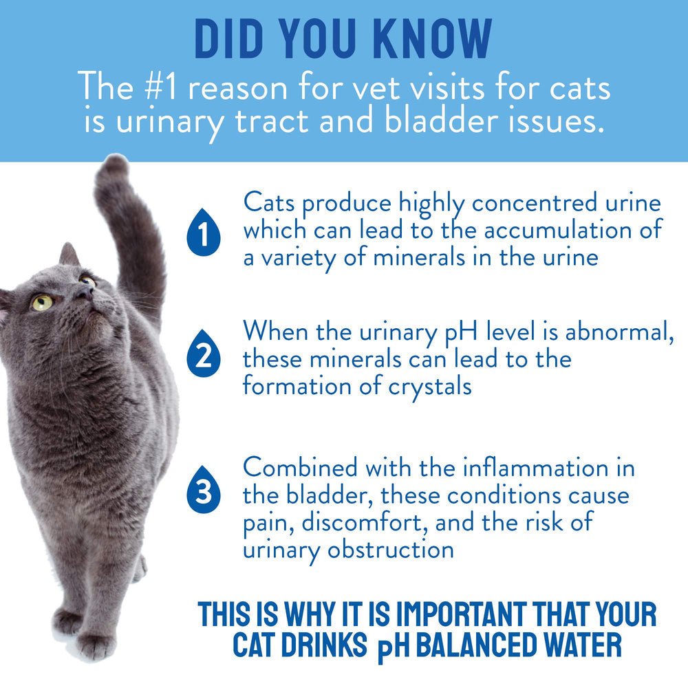 CatWater mineral-free label highlights reduced urinary minerals for cats.