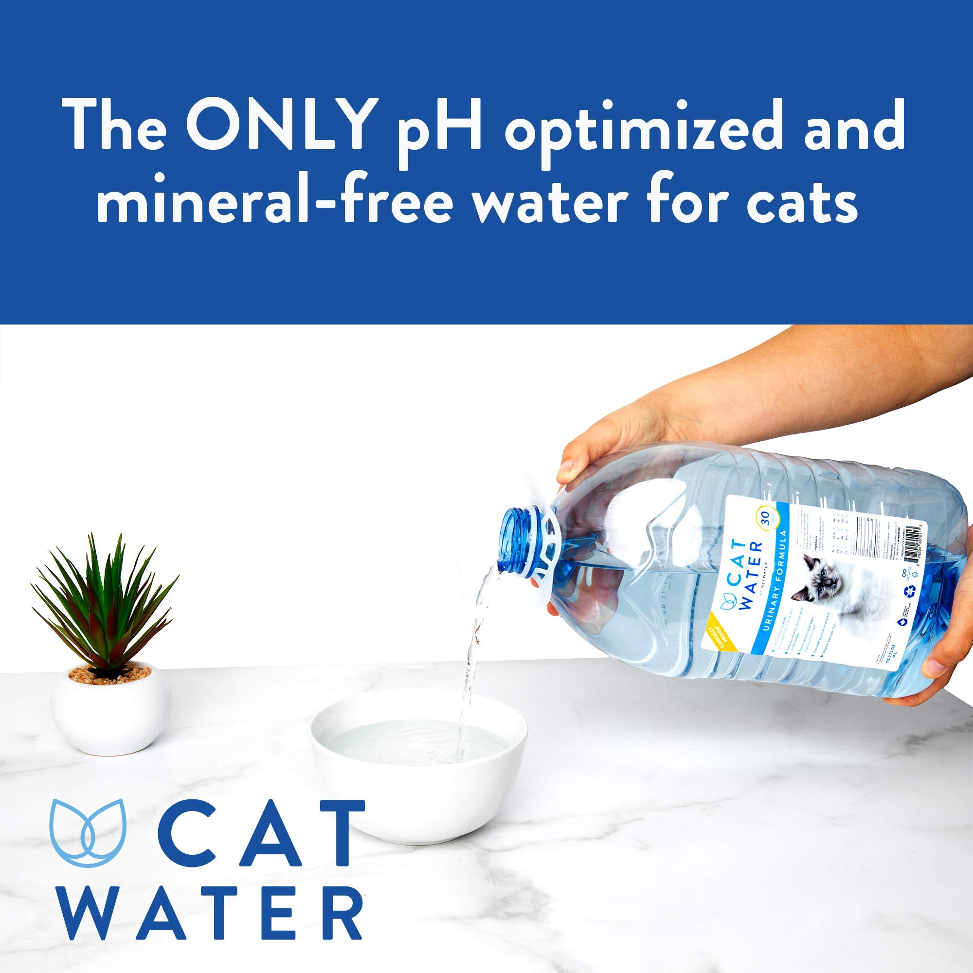 CatWater glass close-up shows pure, pH-balanced hydration for cats.