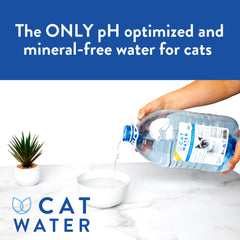 CatWater glass close-up shows pure, pH-balanced hydration for cats.
