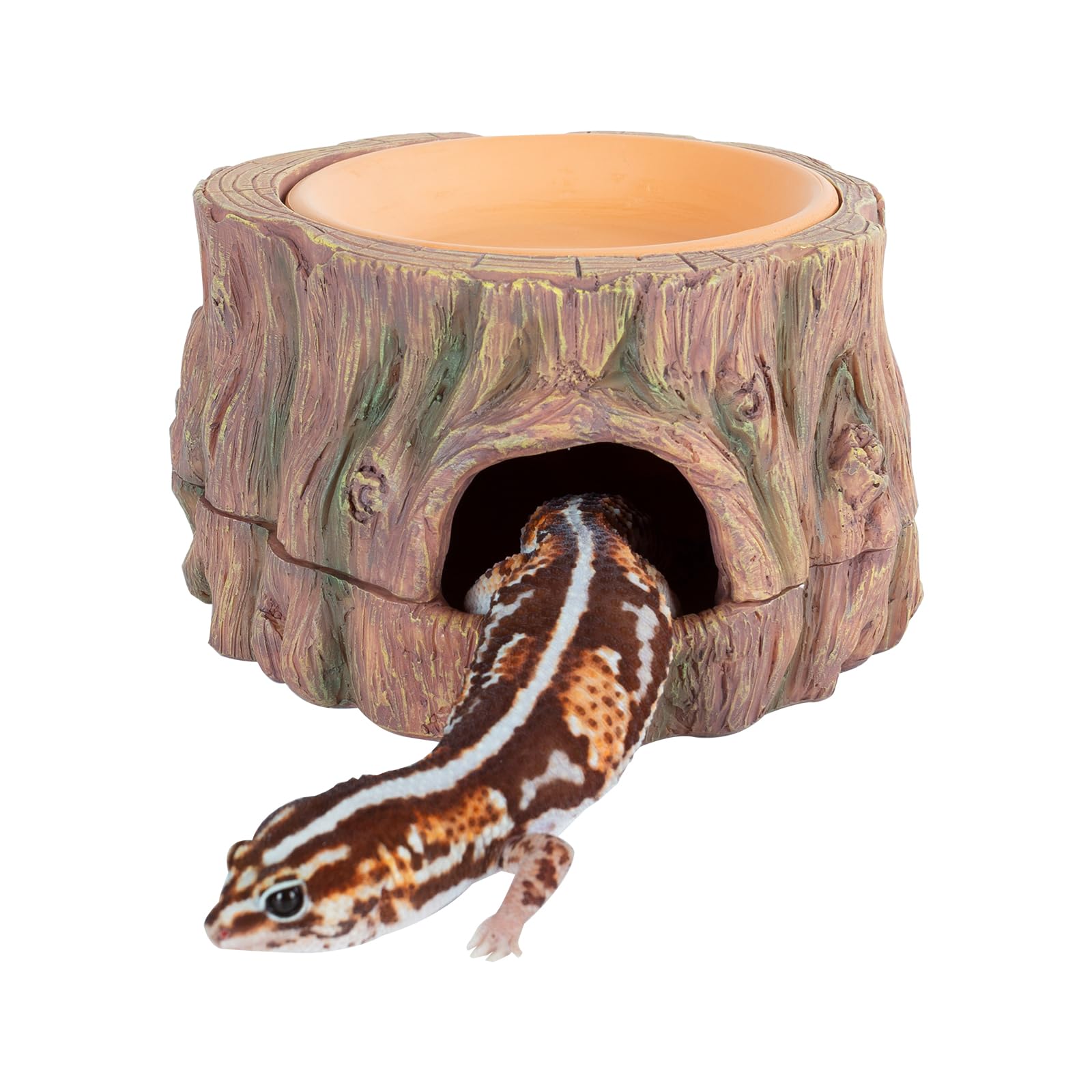 CAVACHEW 3-in-1 hide cave top view for secure small reptiles