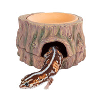 CAVACHEW 3-in-1 hide cave top view for secure small reptiles