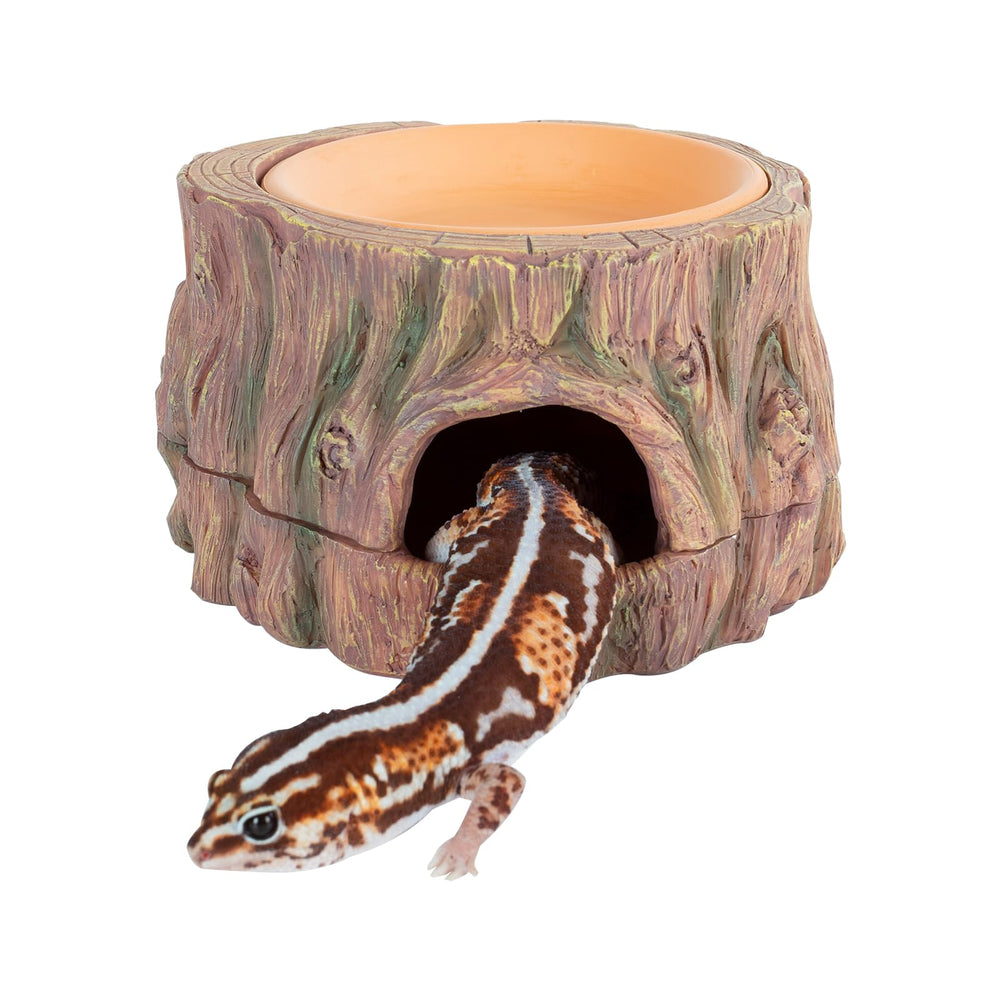 CAVACHEW 3-in-1 hide cave top view for secure small reptiles