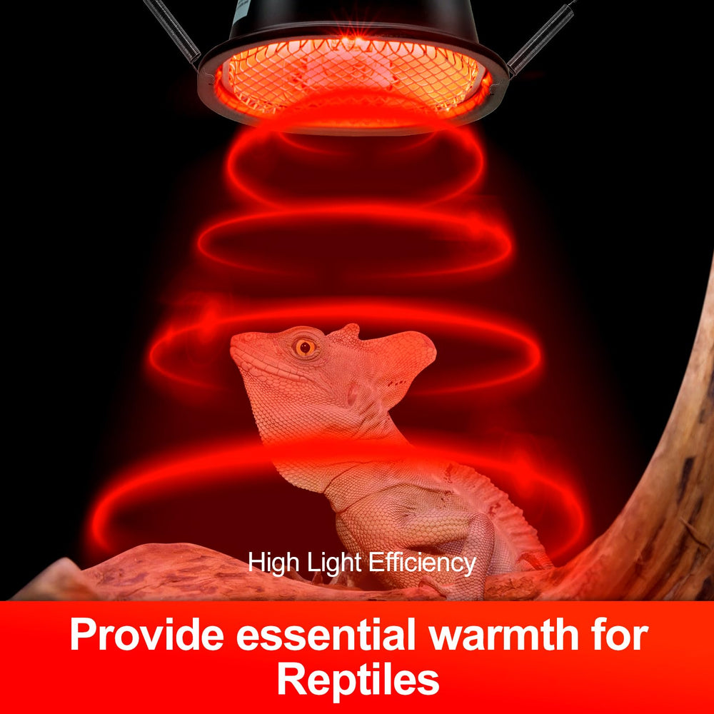 CAVACHEW 50W G9 bulb in fixture delivering gentle infrared warmth for reptiles