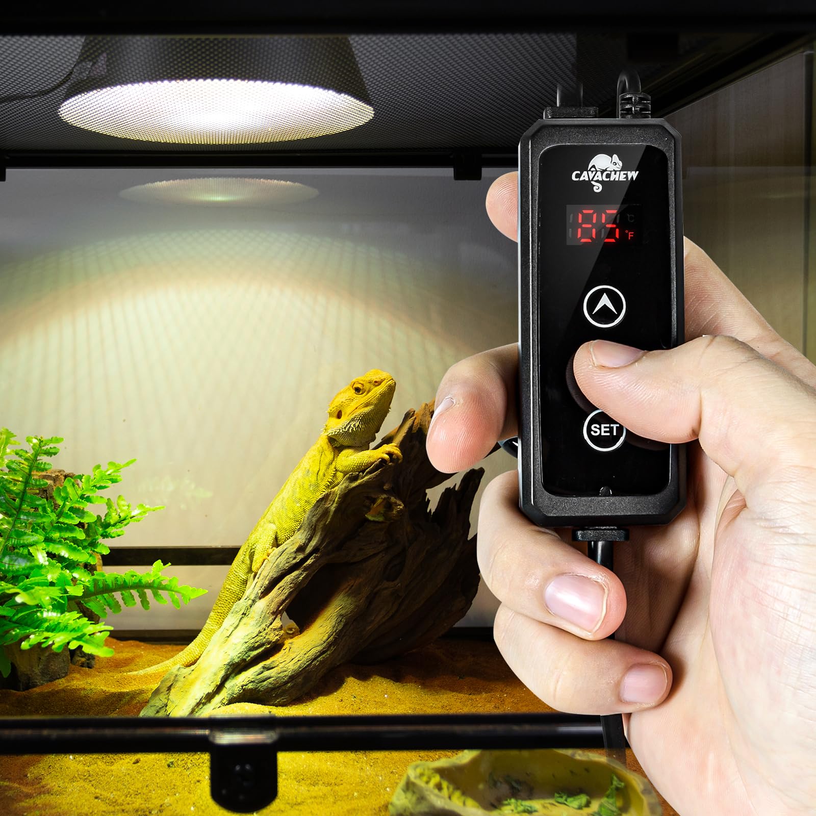 CAVACHEW thermostat supports 110-240V power supply for global compatibility.