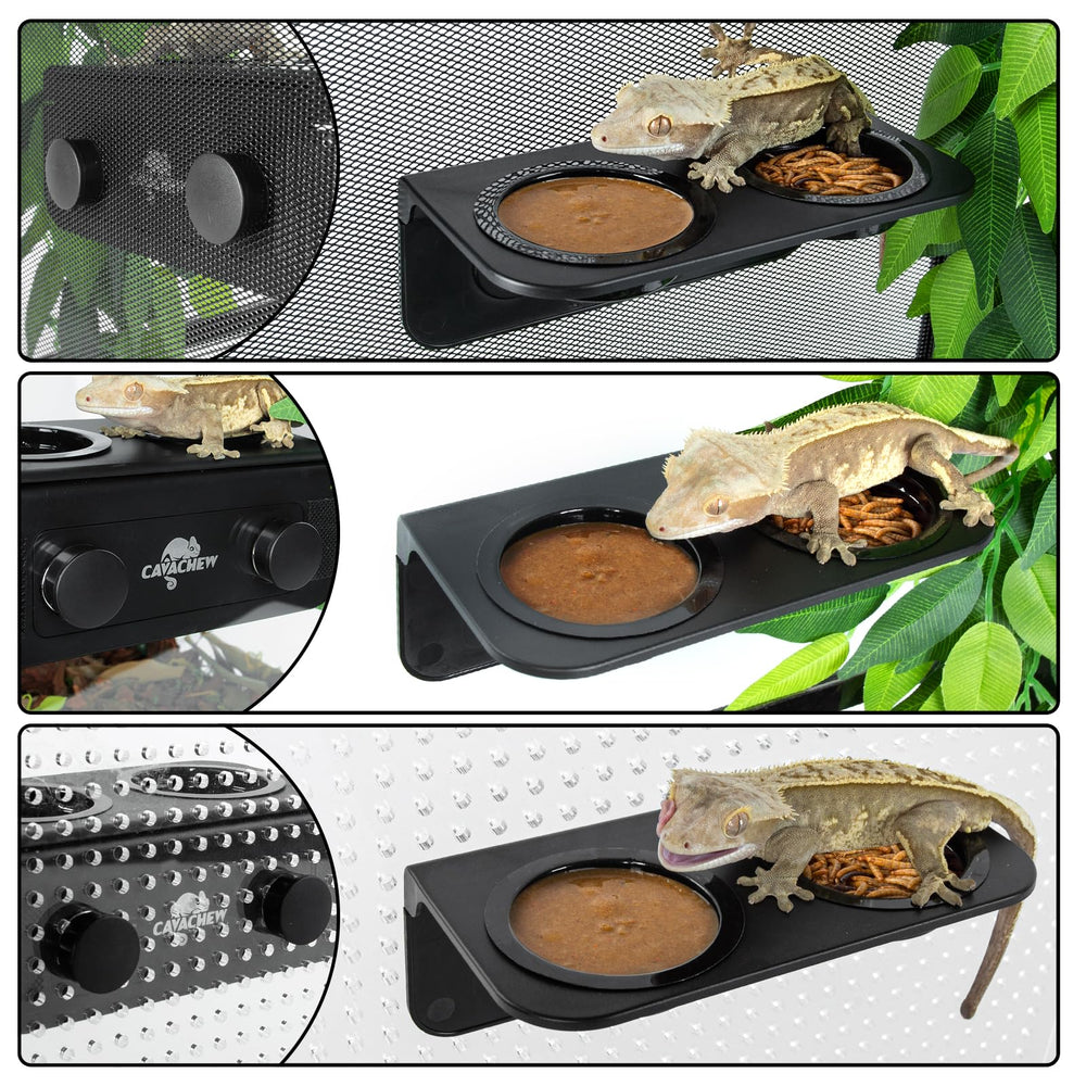 CAVACHEW feeder ledge with six bowls keeps foods organized and accessible