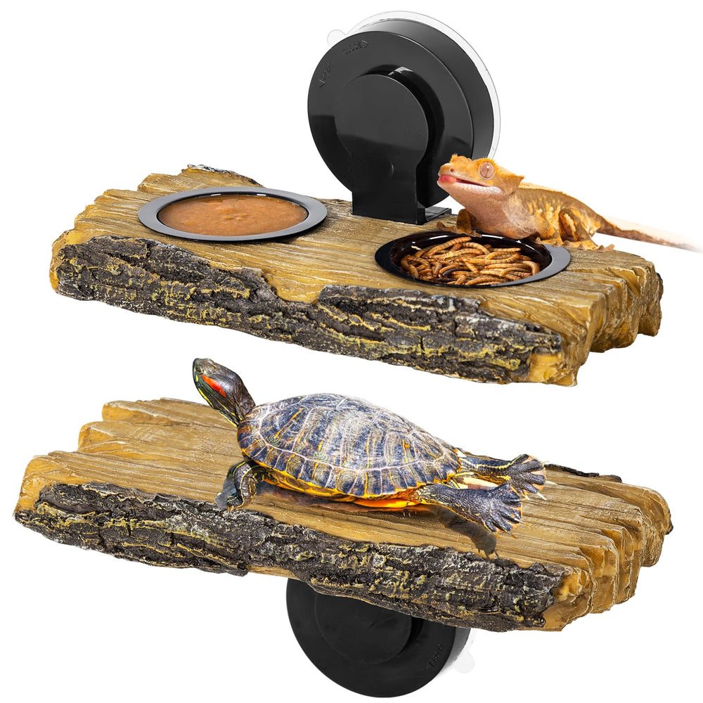 CAVACHEW feeding ledge with cups offers easy arboreal feeding access.