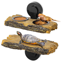 CAVACHEW feeding ledge with cups offers easy arboreal feeding access.