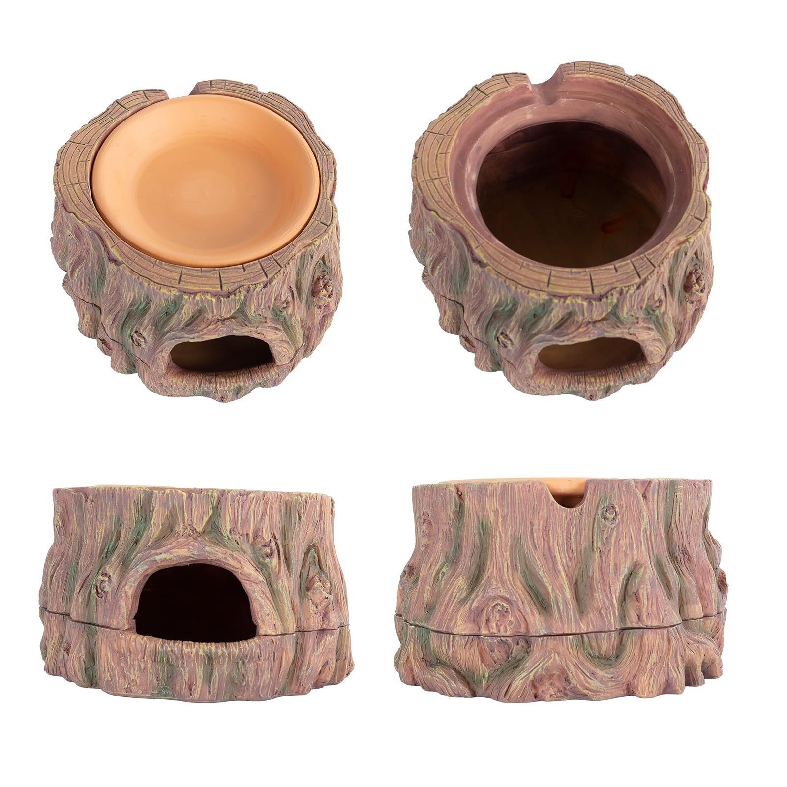 CAVACHEW humidity dish integrated into habitat to support moisture