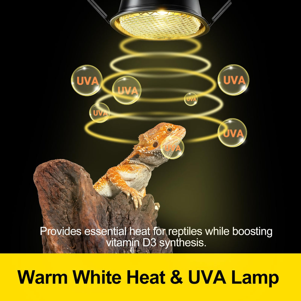 CAVACHEW protective mesh barrier shields reptiles from direct heat.
