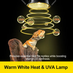 CAVACHEW protective mesh barrier shields reptiles from direct heat.