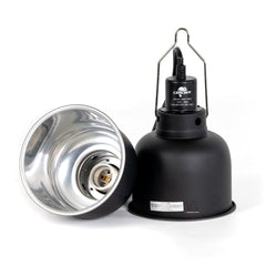 CAVACHEW deep-dome reflector boosts light output for basking and enrichment.