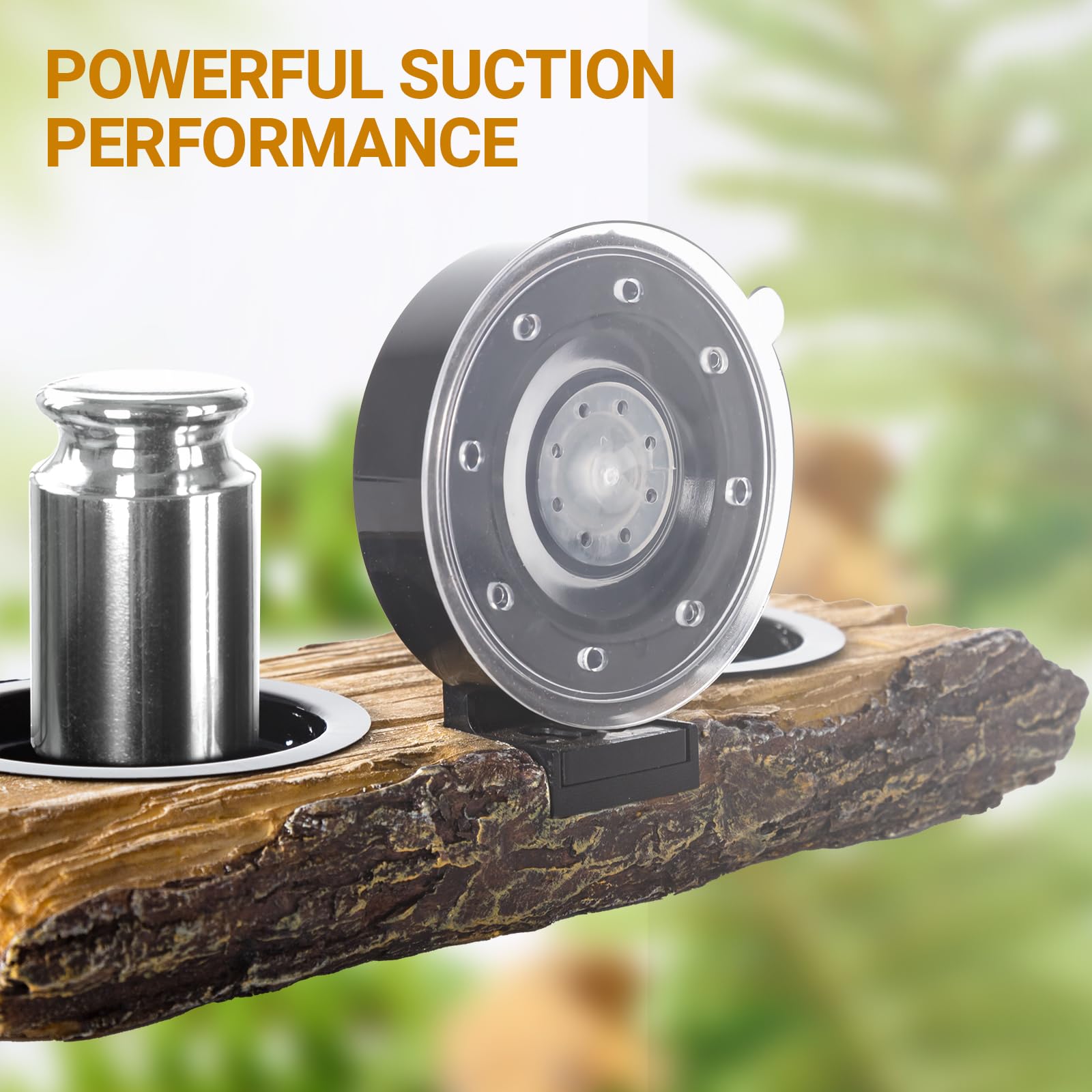 CAVACHEW suction cups attachment emphasizes secure, drilling-free mounting on glass or wood.