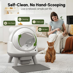 Cavrtbany automatic litter box interior—self-cleaning cycle while the cat leaves