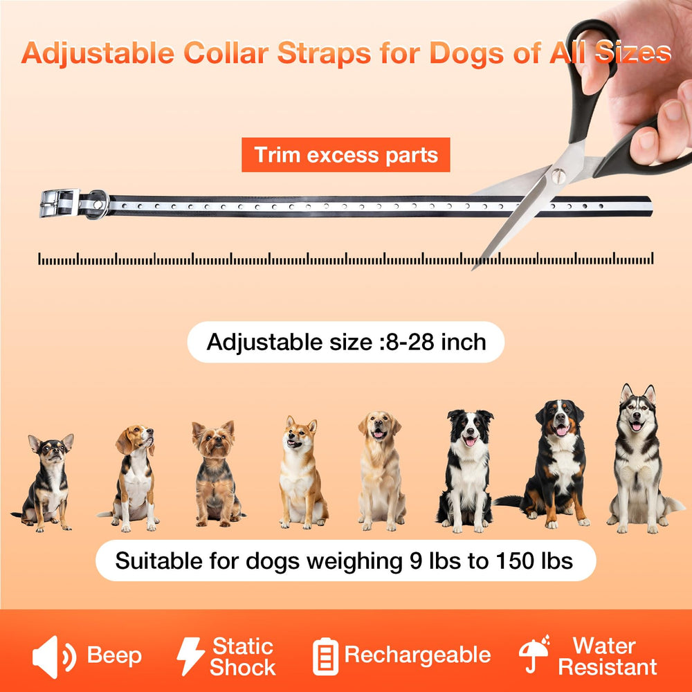 Dog wearing Cawjug collar near boundary for gentle training.