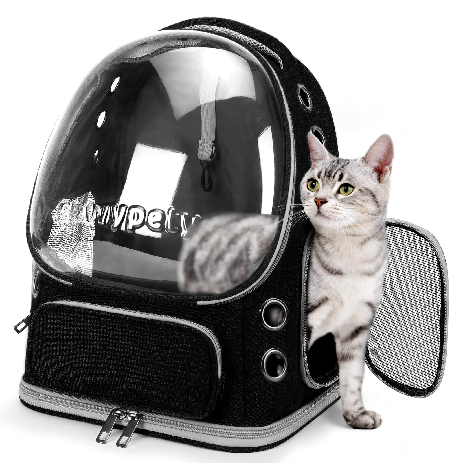 Cawypety Cat Backpack with bubble window offers calm, sunlit visibility.
